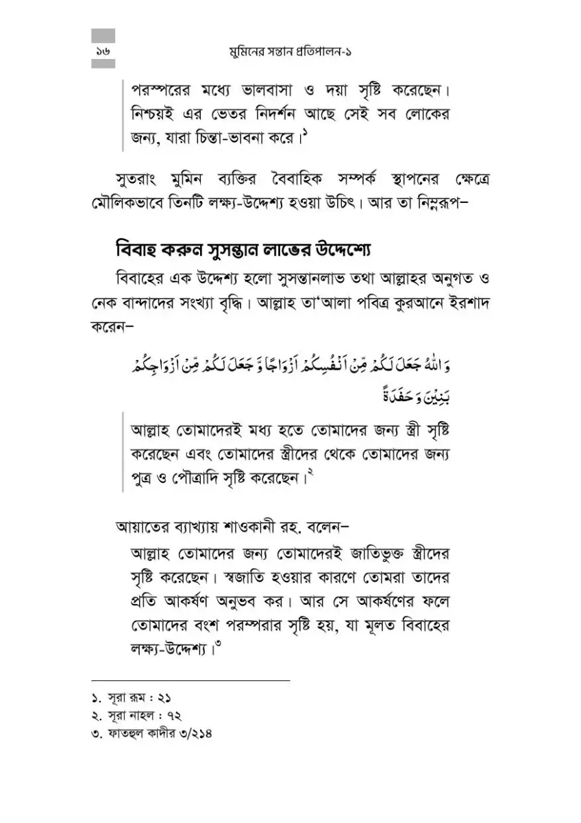 নমুনা পাতা 16